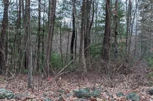508 Old County Rd, Wales, MA 01081 - Photo 33