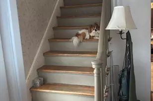 47 Hartford Terrace, Springfield, MA 01118 - Photo 13