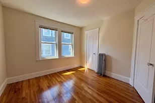 157 Hillside St, Boston, MA 02120 - Photo 9