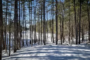 555 Old Harvard Rd, Boxborough, MA 01719 - Photo 33