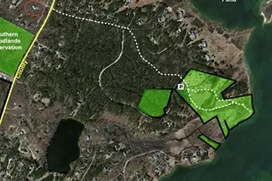 103 Meadow View Rd, Oak Bluffs, MA 02557 - Photo 25