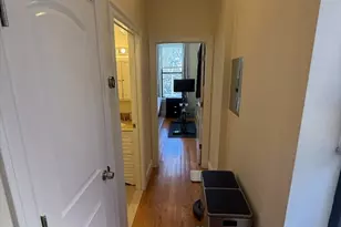 639 Tremont St, Boston, MA 02118 - Photo 5