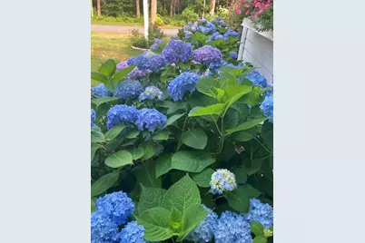 7 Crane Landing Rd, Wareham, MA 02571 - Photo 31