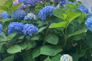 7 Crane Landing Rd, Wareham, MA 02571 - Photo 31