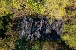 3 Evergreen Ln, Hingham, MA 02043 - Photo 31