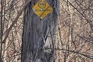 4 Ashley Rd, North Brookfield, MA 01535 - Photo 5