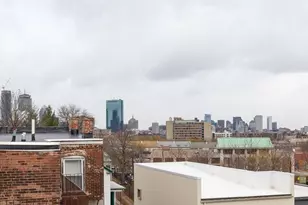 15 Kenilworth St, Boston, MA 02119 - Photo 17