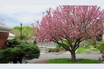 22 N Stone Mill Dr #1111, Dedham, MA 02026 - Photo 37