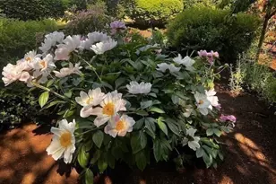 15 Cass St, Boston, MA 02132 - Photo 19