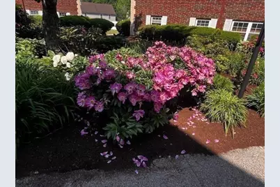 15 Cass Street #3, Boston, MA 02132 - Photo 21