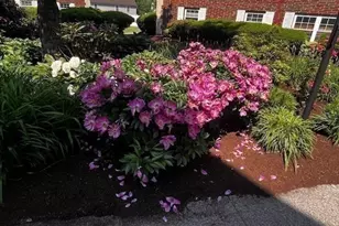 15 Cass St, Boston, MA 02132 - Photo 21