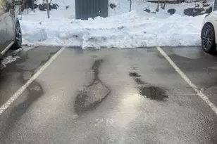 42R Olney St, Boston, MA 02121 - Photo 11