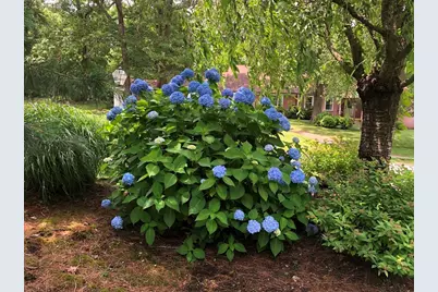 57 Brierbrook St, Milton, MA 02186 - Photo 39