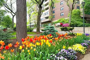 2 Hawthorne Pl, Boston, MA 02114 - Photo 29