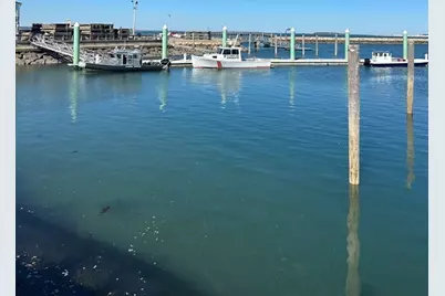 131 Court St. #1L, Plymouth, MA 02360 - Photo 27