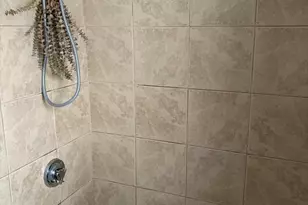 19 Wolcott St, Boston, MA 02121 - Photo 3