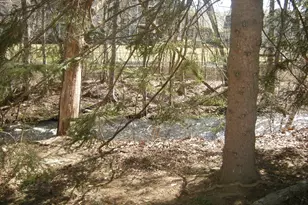 346 Neponset St, Canton, MA 02021 - Photo 3