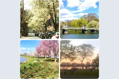 40 Revere Street #3, Boston, MA 02114 - Photo 3