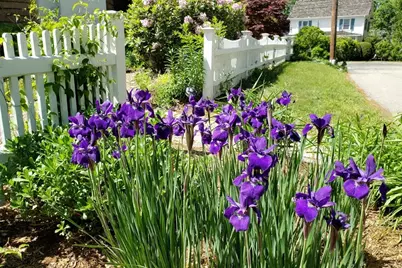 2380 Massachusetts Ave, Lexington, MA 02421 - Photo 25