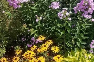 81 Winter St, Leominster, MA 01453 - Photo 5