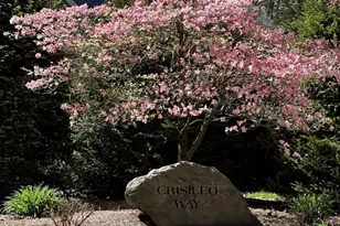 10 Crisileo Way, Canton, MA 02021 - Photo 35