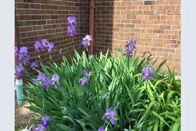 15 Davis Rd #B11, Acton, MA 01720 - Photo 15