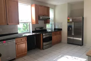 16 Copenger, Boston, MA 02120 - Photo 9