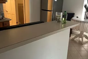 81 Thornton St, Boston, MA 02119 - Photo 5