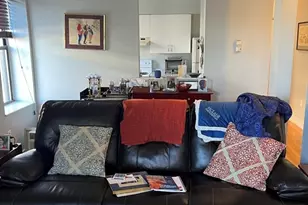 14 Linwood St, Boston, MA 02119 - Photo 3