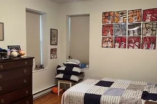 14 Linwood St, Boston, MA 02119 - Photo 13