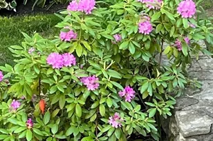 32 Crestwood Dr, Southbridge, MA 01550 - Photo 31