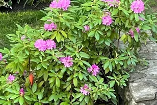 32 Crestwood Dr, Southbridge, MA 01550 - Photo 35