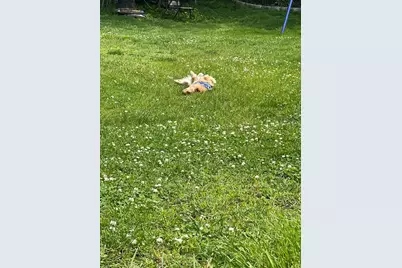 16-18 Phelps Street #16-1, Salem, MA 01970 - Photo 23