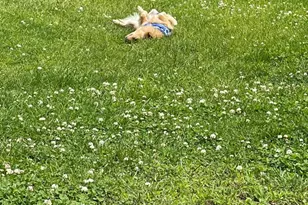 16-18 Phelps St, Salem, MA 01970 - Photo 23