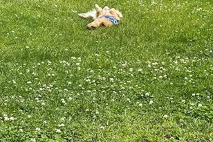 16-18 Phelps St, Salem, MA 01970 - Photo 21