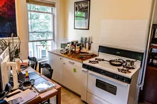 30 Spring Park Ave, Boston, MA 02130 - Photo 11