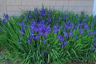 125 Stackhouse St, Dartmouth, MA 02747 - Photo 23