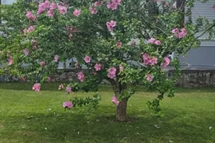 125 Stackhouse St, Dartmouth, MA 02747 - Photo 25