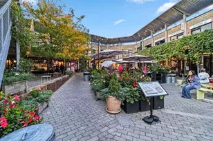 16 Alston St, Somerville, MA 02143 - Photo 37