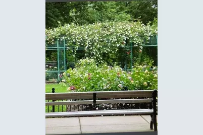 50 Green Street #206, Brookline, MA 02446 - Photo 11