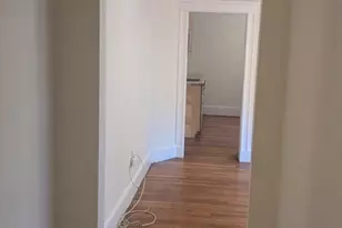 9 Stedman St, Boston, MA 02130 - Photo 7