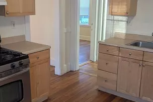 9 Stedman St, Boston, MA 02130 - Photo 13