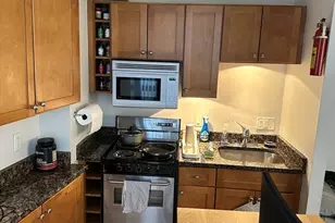 12 Stoneholm St, Boston, MA 02155 - Photo 7