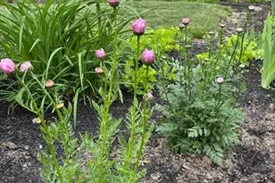 16 Hazelwood Rd, Dennis, MA 02660 - Photo 33