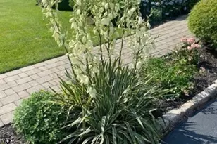 8 Summit View Dr, Swampscott, MA 01907 - Photo 5