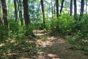 45 Lakeside Ave, Marlborough, MA 01752 - Photo 41