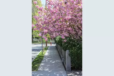 157 Brattle Street, Cambridge, MA 02138 - Photo 25