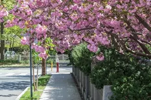 157 Brattle St, Cambridge, MA 02138 - Photo 25