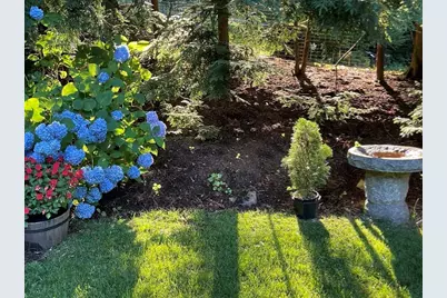 16 Alberta Rd, Brookline, MA 02467 - Photo 21