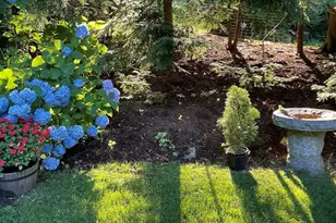 16 Alberta Rd, Brookline, MA 02467 - Photo 21